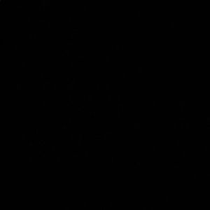 Meet your Posher, Leonard